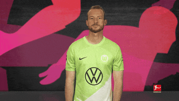 Vfl Wolfsburg GIF by Bundesliga