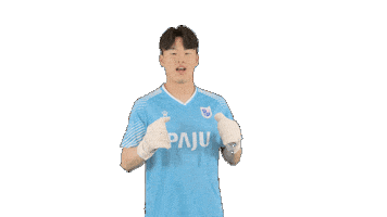 파주프런티어Fc Sticker by PAJU FRONTIER FC