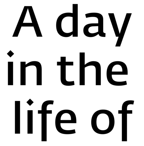 International Business School Maastricht Sticker