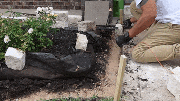 K-Pasha Home Via Youtube GIF