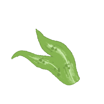 Plant Living Sticker