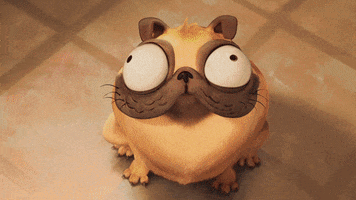 200.gif?cid=fc005b08a4ba53887c28d0d2972609dd1c8b9e24afe07710&rid=200.gif&ct=g