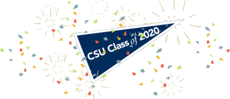 Csugrad20 Sticker