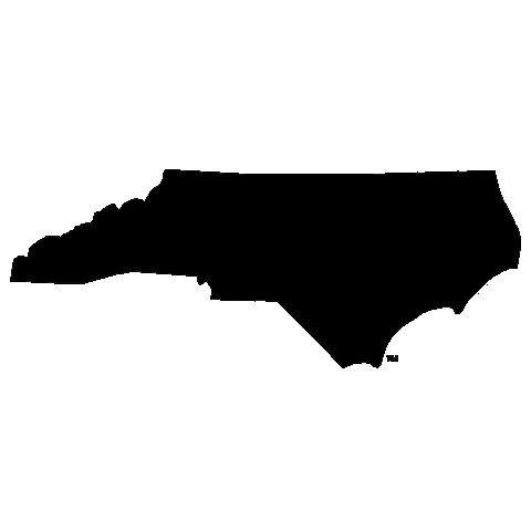 Ecu Pirates Pirate Sticker by East Carolina University