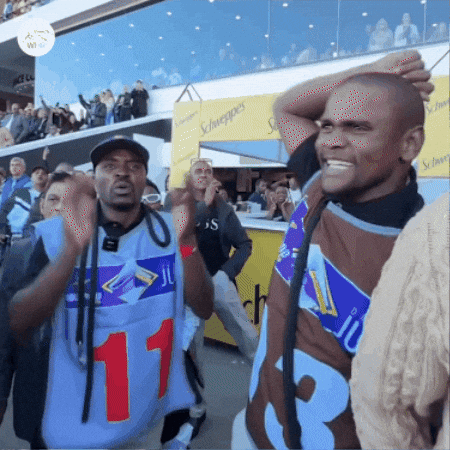 Oh No What GIF by World Horse Racing