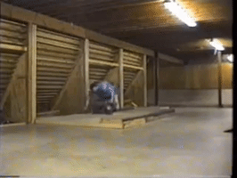 Vincentgifs Vincekral.Com GIF