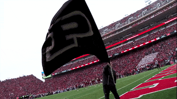 Jeffbrohm Boilerfootball GIF by Purdue Sports
