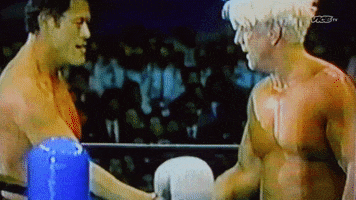 Ric Flair Wrestling GIF by DARK SIDE OF THE RING