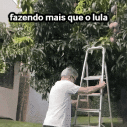 Zema Novo30 GIF by Novo Jovem