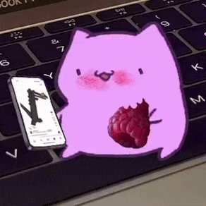 Kitty Reels GIF
