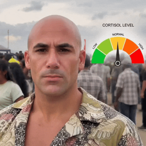 Cortisol Viajem GIF