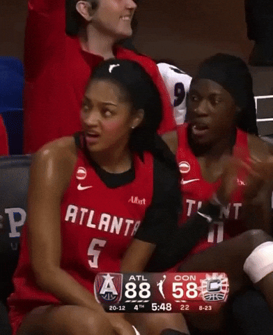 Wnba Bench GIF