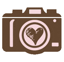 Camera Album Sticker by amofotolivro