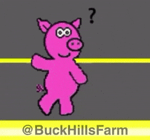 Pig Electrocute GIF by Buck Hills Farm
