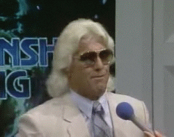 excited ric flair GIF