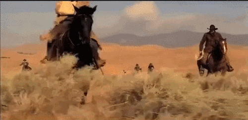 Cowboys herding cats gif