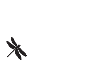 DandelionandDriftwood Sticker