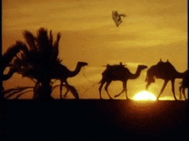 Santa Camels GIF by Greg Lake