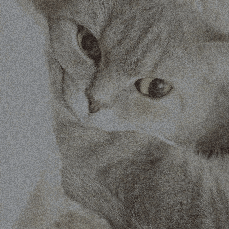 Cat GIF by Hoba Delivery