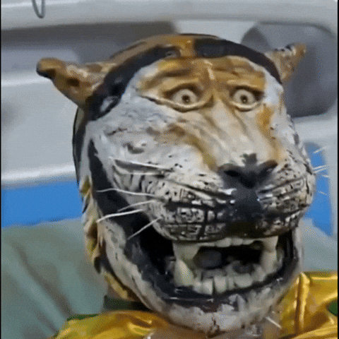 Tiger GIF