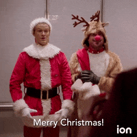 Merry Christmas GIF by ION