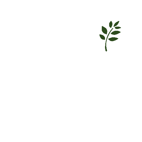 Digital art gif. Dove with an olive branch, flapping its wings to fly higher.