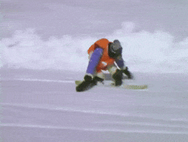 Monkey Snowboard GIF