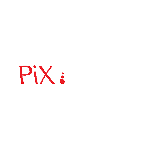 Photography Sticker