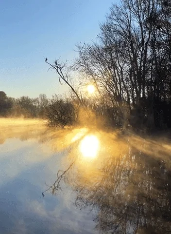 Water Winter GIF by University of Florida