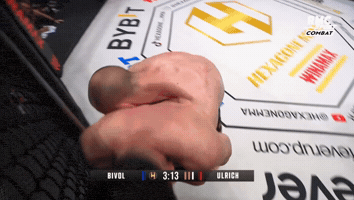 Mma Fighter GIF by Old School Academy
