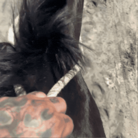 Davebanana GIF by dave