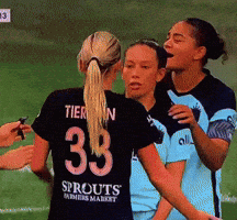 Gotham Fc GIF