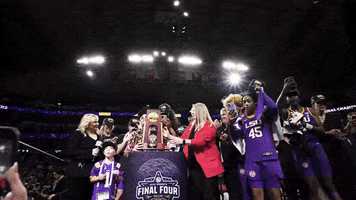 National Champions GIF by LSU Tigers