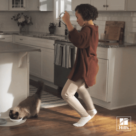 Pet Food Happy Dance GIF by Hill's Pet Nutrition
