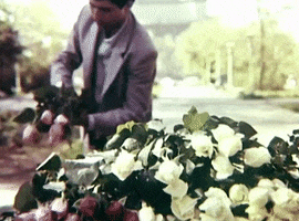 80S GIF