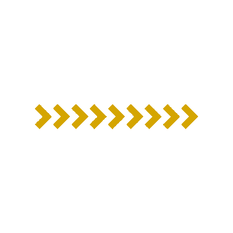 Lexence Sticker
