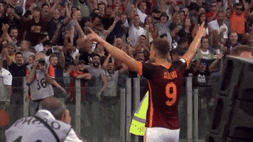 hand up GIF by AS Roma