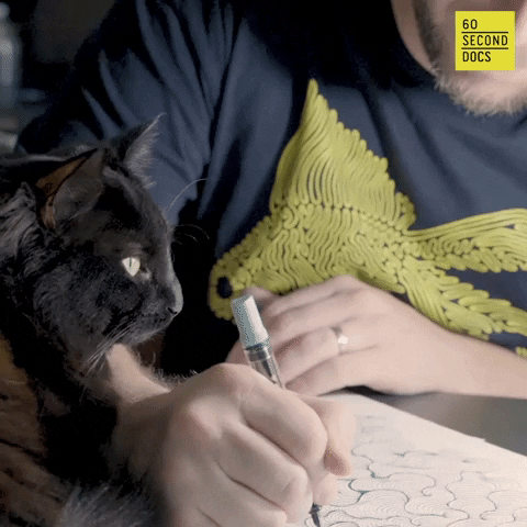 Art Cat GIF by 60 Second Docs
