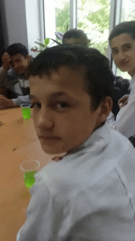 Asil GIF