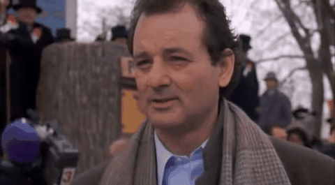 Bill Murray Groundhog GIF - Find & Share on GIPHY