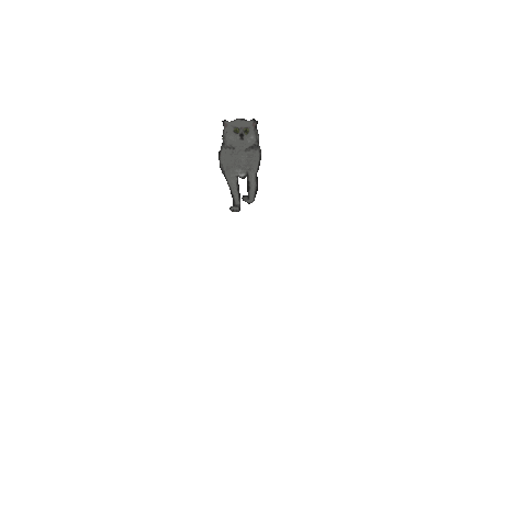 Cat Kitty Sticker