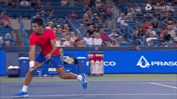 Cant Believe It Atp Tour GIF by Tennis TV