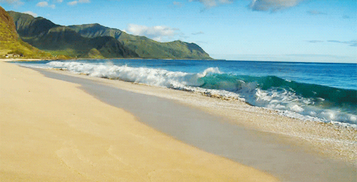 The Beach Summer GIF - Find & Share on GIPHY
