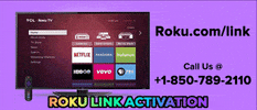 Roku GIF