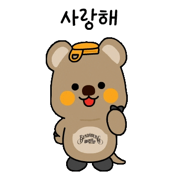 사랑해 Love Sticker by Bundaberg Brewed Drinks