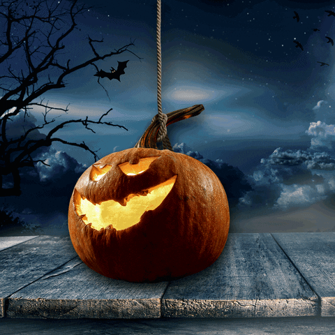 Jack O Lantern Halloween GIF by Cifo