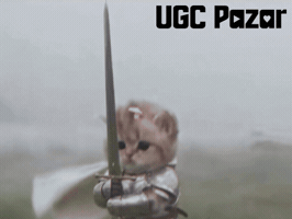 Cute Cat GIF by UGCPazar