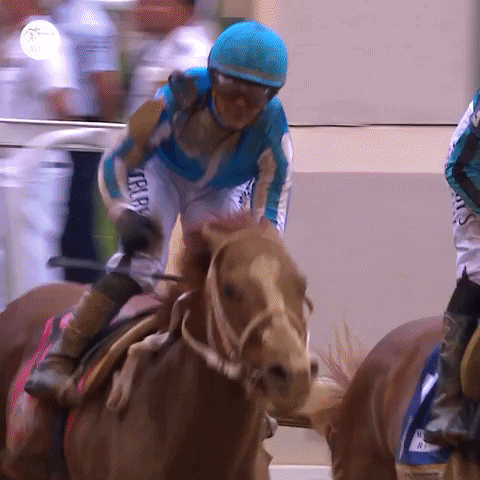 Happy Kentucky Derby GIF by World Horse Racing