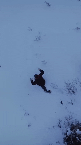 Season 8 Snow GIF by National Geographic Channel