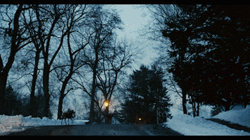 Music Video Snow GIF by Polyvinyl Records